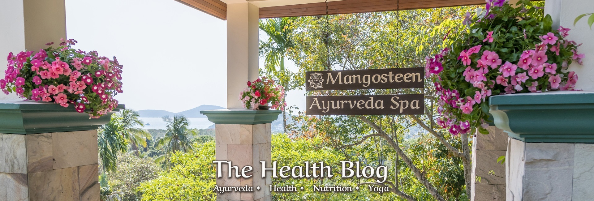 Health Blog For Ayurveda, Wellness, Yoga Retreats Phuket Thailand, Vegetarian, Vegan, Organic Healthy Food And Drinks At Mangosteen Ayurveda & Wellness Resort, Rawai, Phuket.
