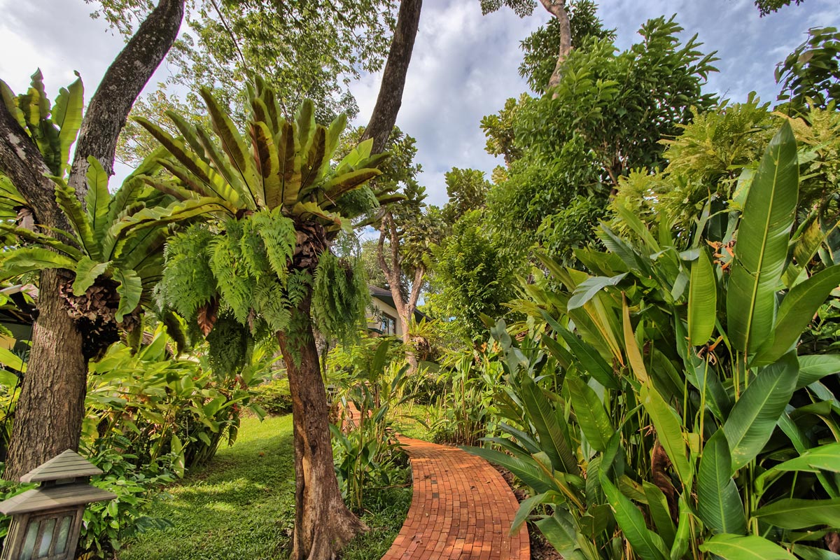 Mangosteen Ayurveda Wellness Resort Phuket Amazing Tropical Garden (7)